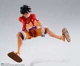 S.H.Figuarts Monkey D. Luffy -The Raid on Onigashima- (Re-Run)