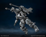 S.H.MonsterArts Mechagodzilla & Garuda & Fire Rodan Makuhari Decisive Battle Ver.