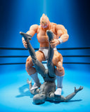 S.H.Figuarts Kinnikuman -Perfect Origin Arc-